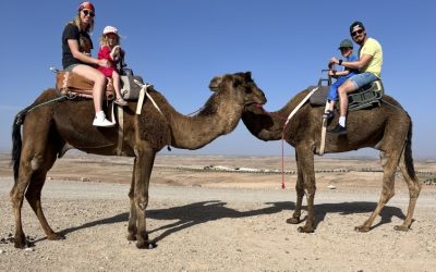 Marrakech